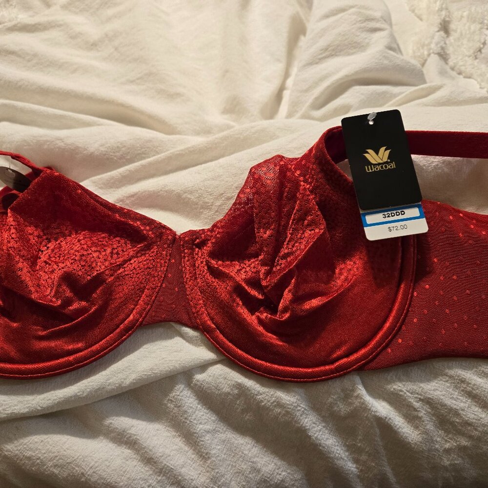 Wacoal Bra 32DDD